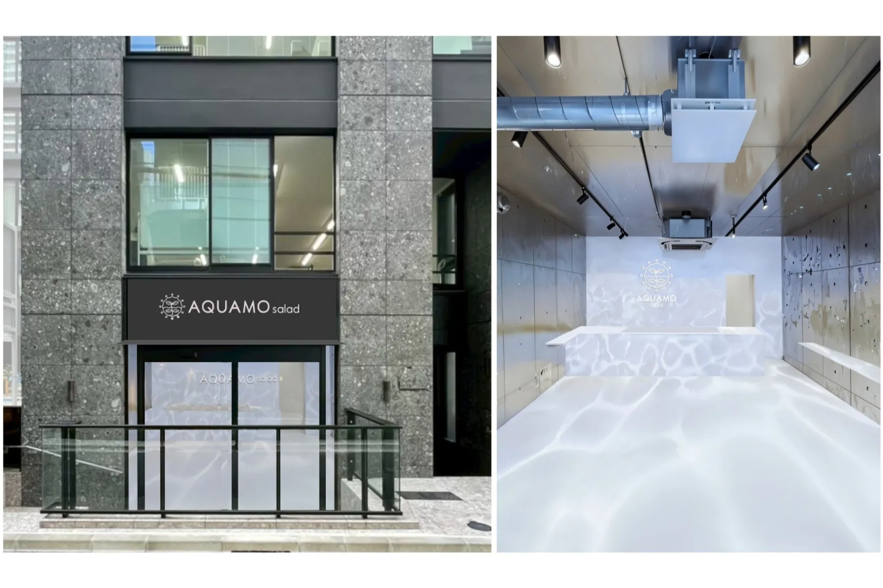 AQUAMO salad_5