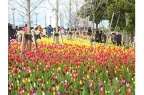シンボルプロムナード公園_4