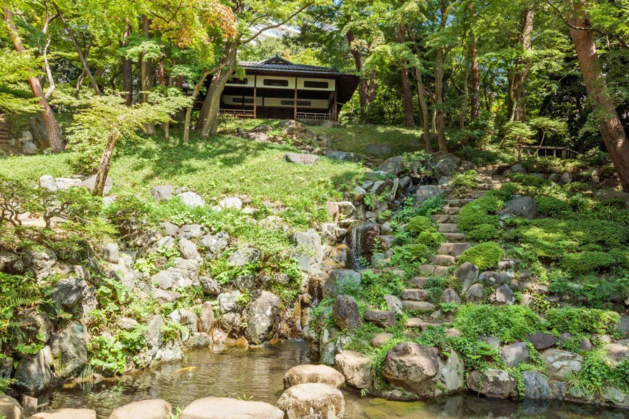 ▲殿ヶ谷戸庭園「紅葉亭」と新緑のイロハモミジ（画像提供：公益財団法人東京都公園協会）