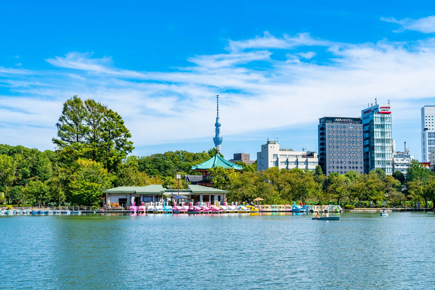 上野恩賜公園　不忍池_1