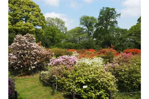 東京大学大学院理学系研究科附属植物園　小石川植物園
