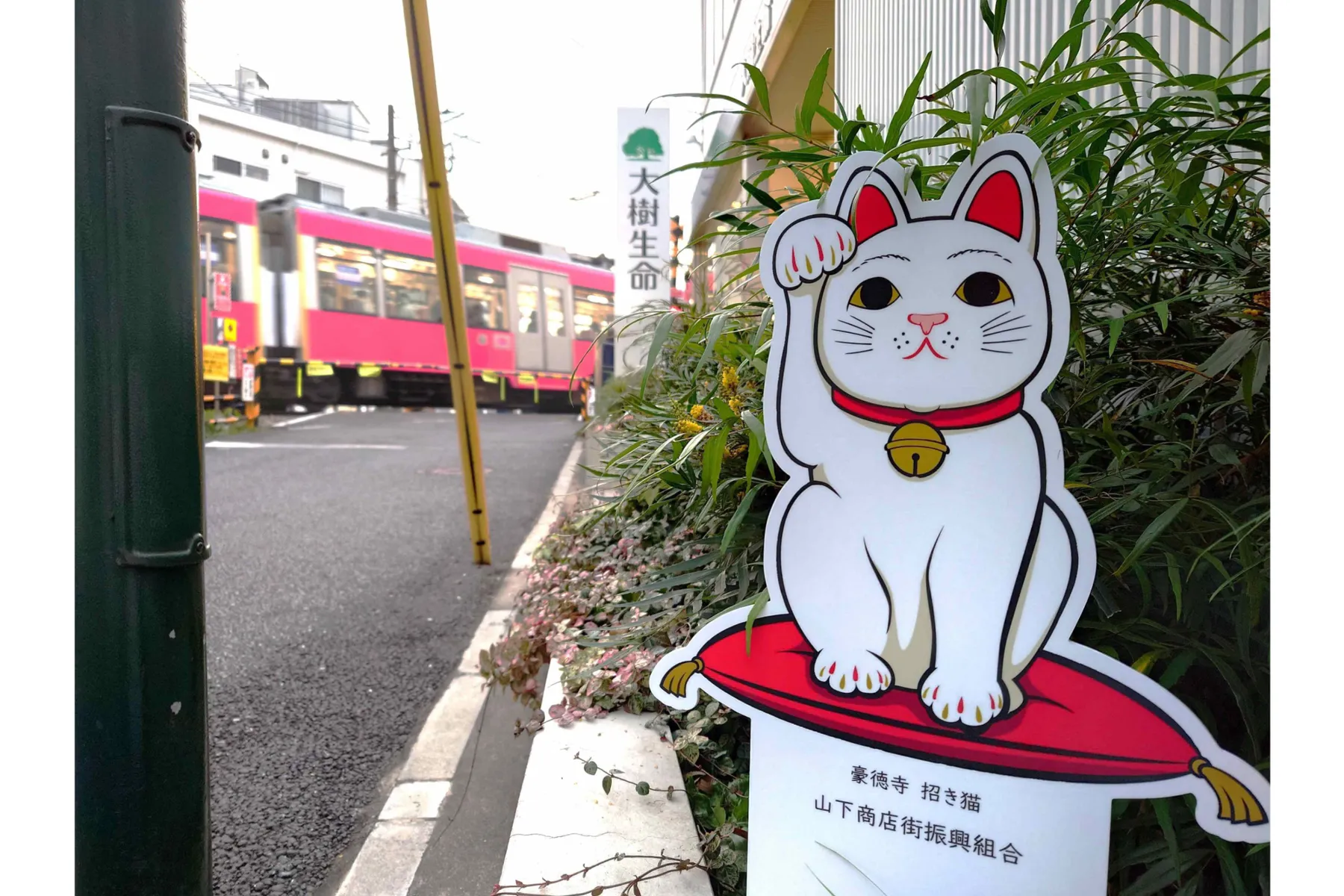 大樹生命のネコ看板_1