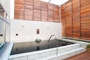 THE SPA 成城