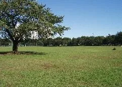 武蔵野中央公園_1