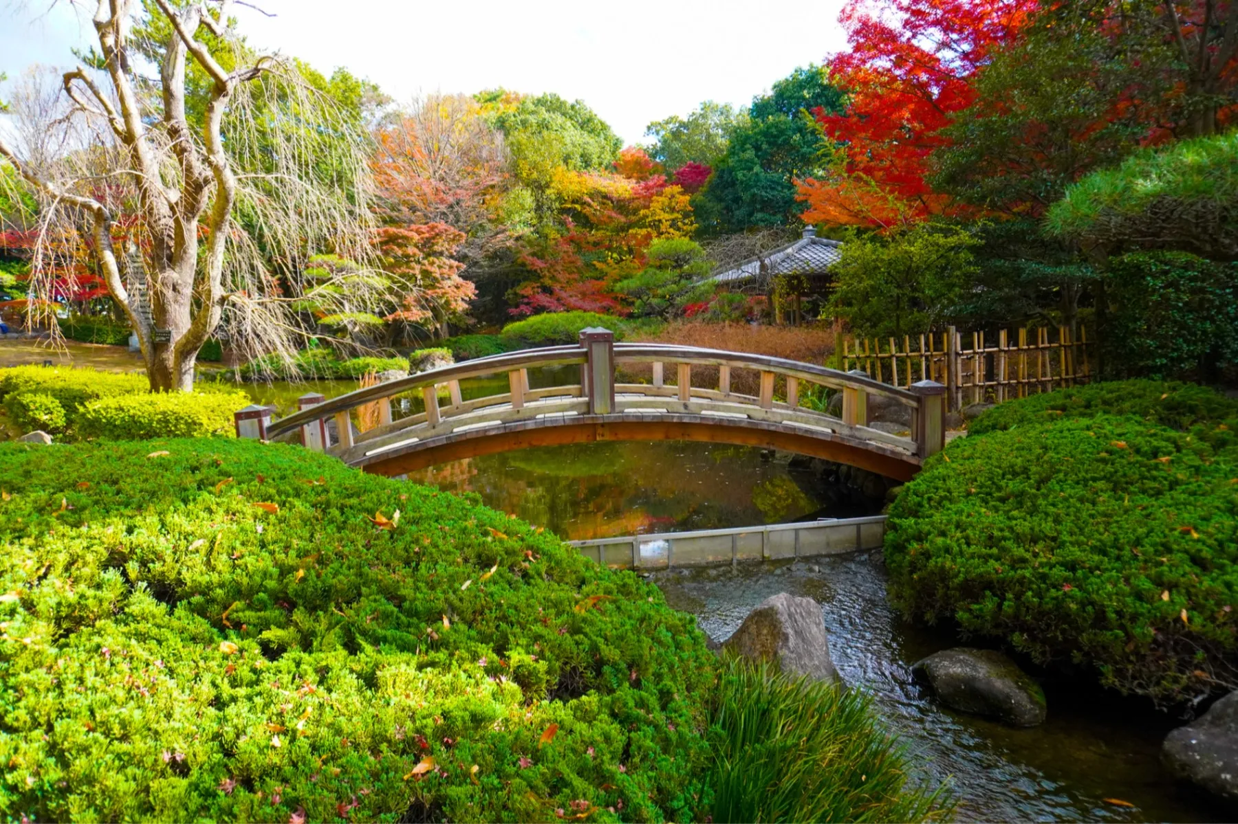 平塚市総合公園_2
