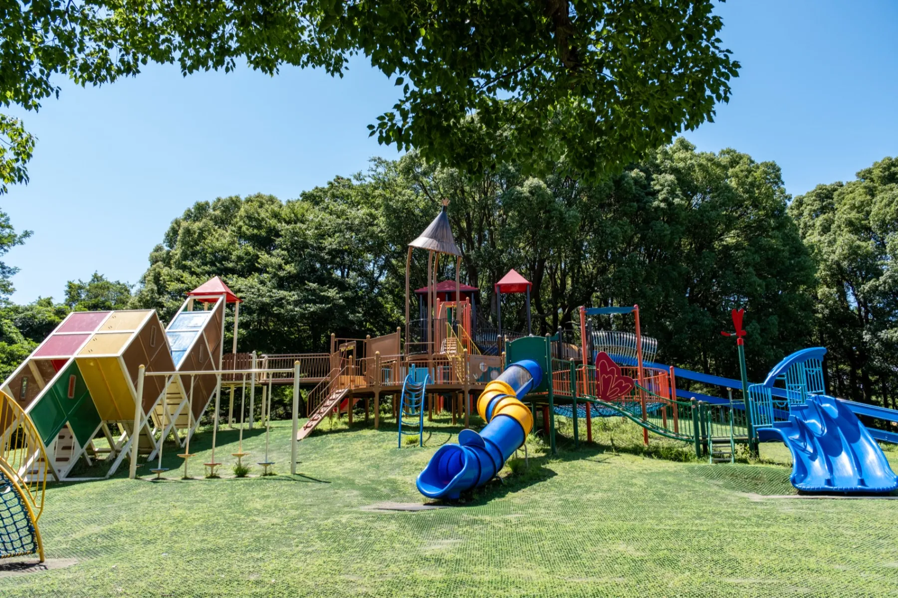 平塚市総合公園_3