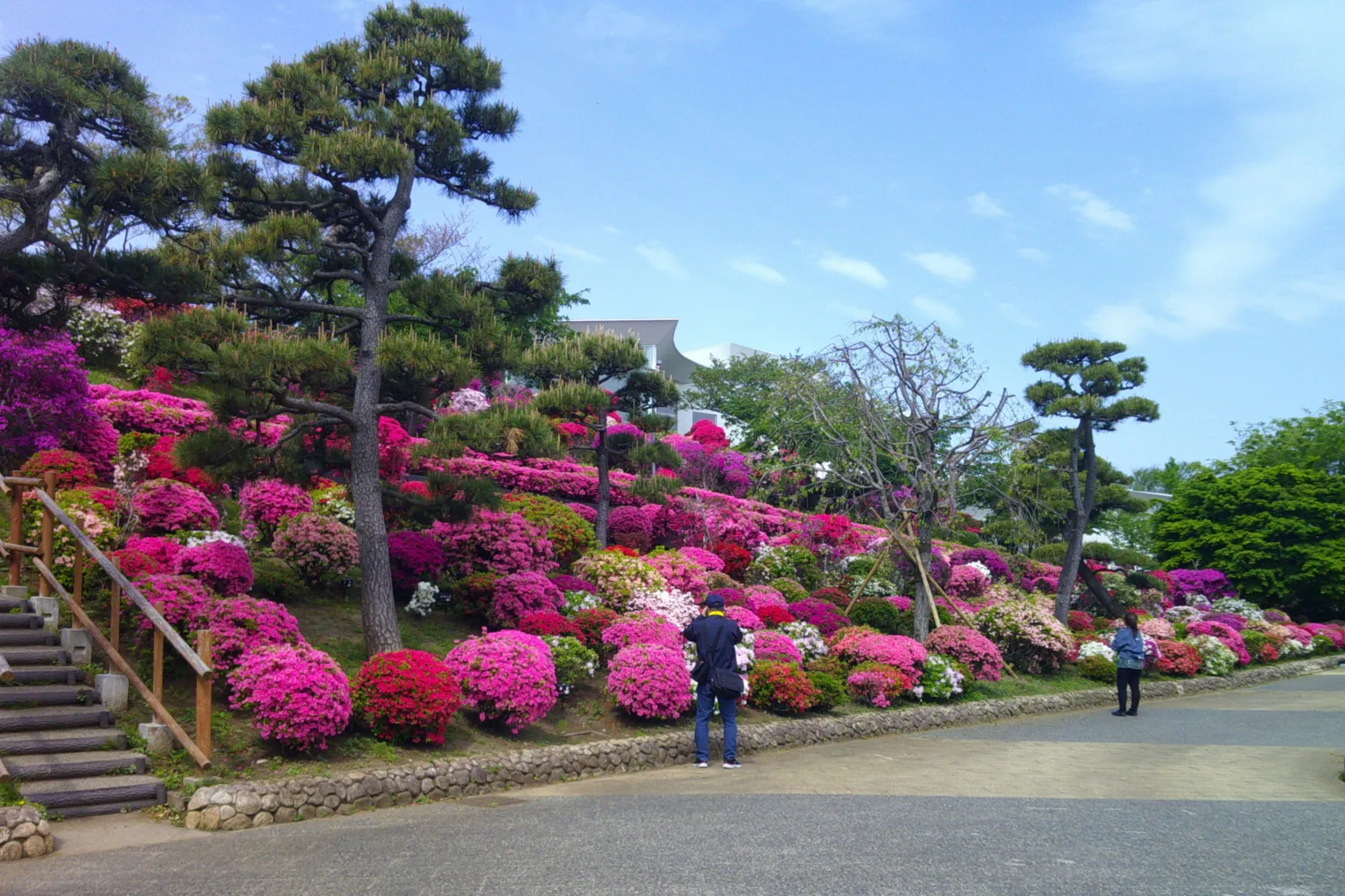 なぎさ公園_3
