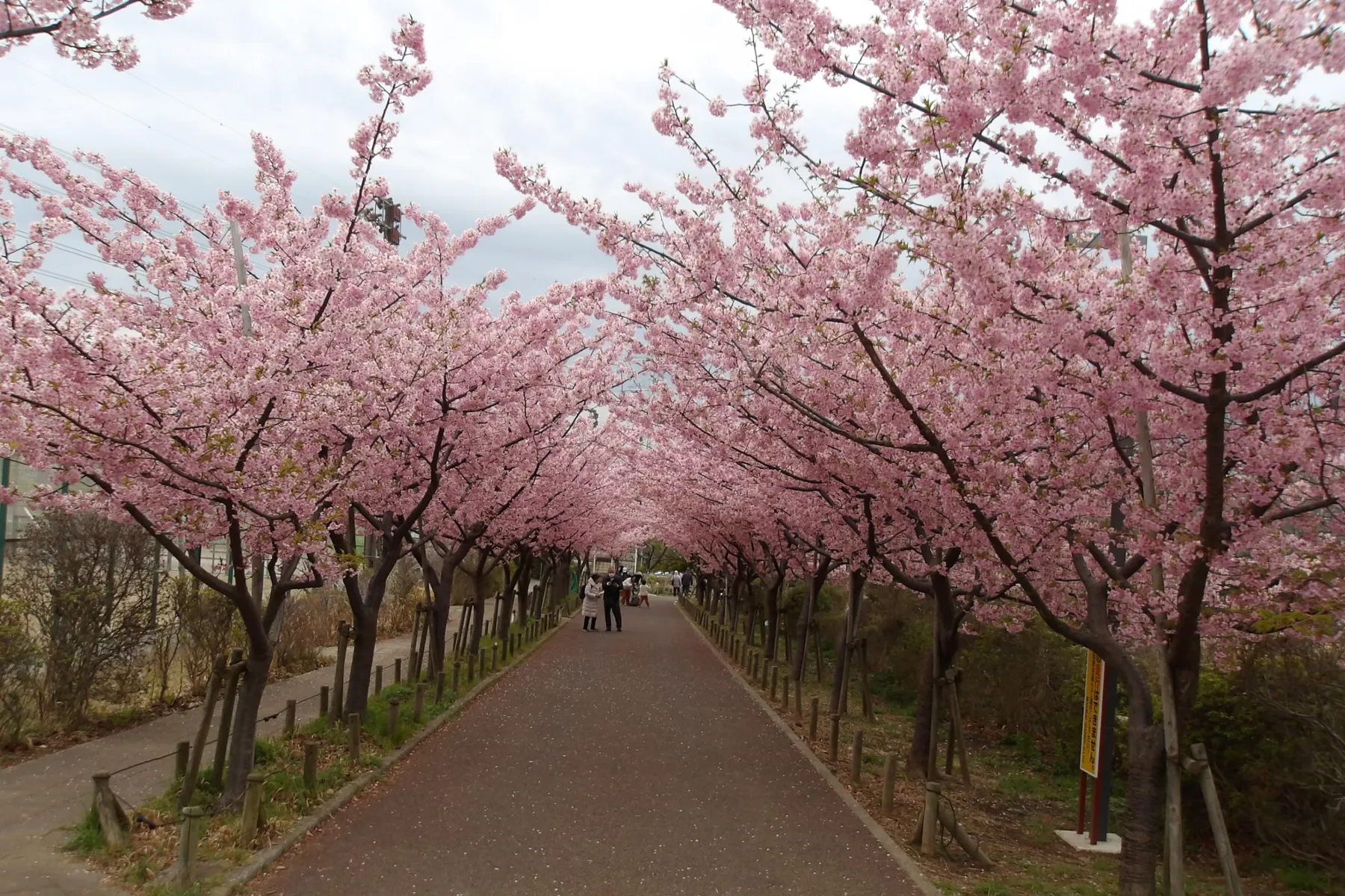 なぎさ公園_4