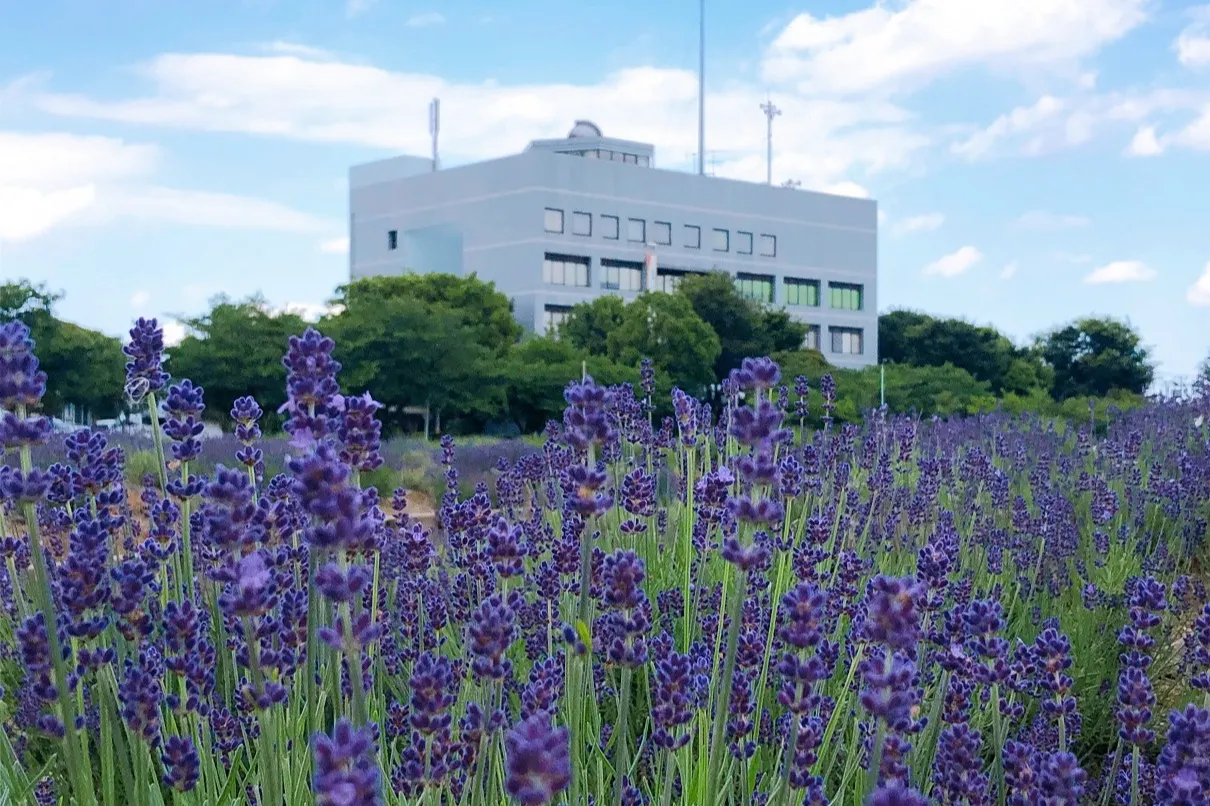 久喜市菖蒲行政センター_2