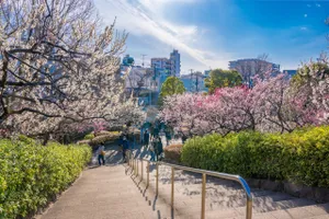 羽根木公園