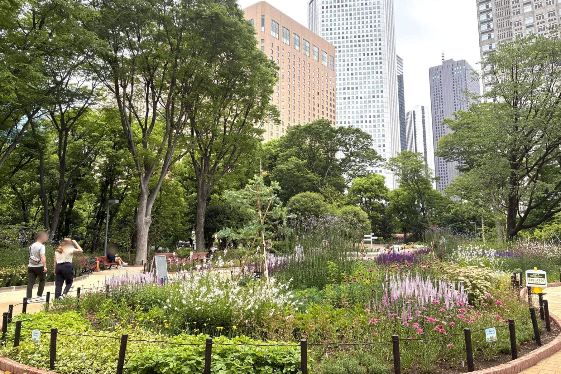 ▲新宿中央公園 花のもり