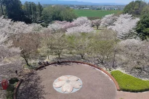 高尾さくら公園