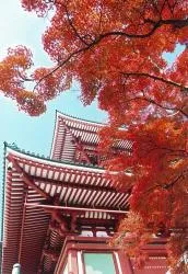 成田山公園