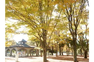 水元公園　バーベキュー場