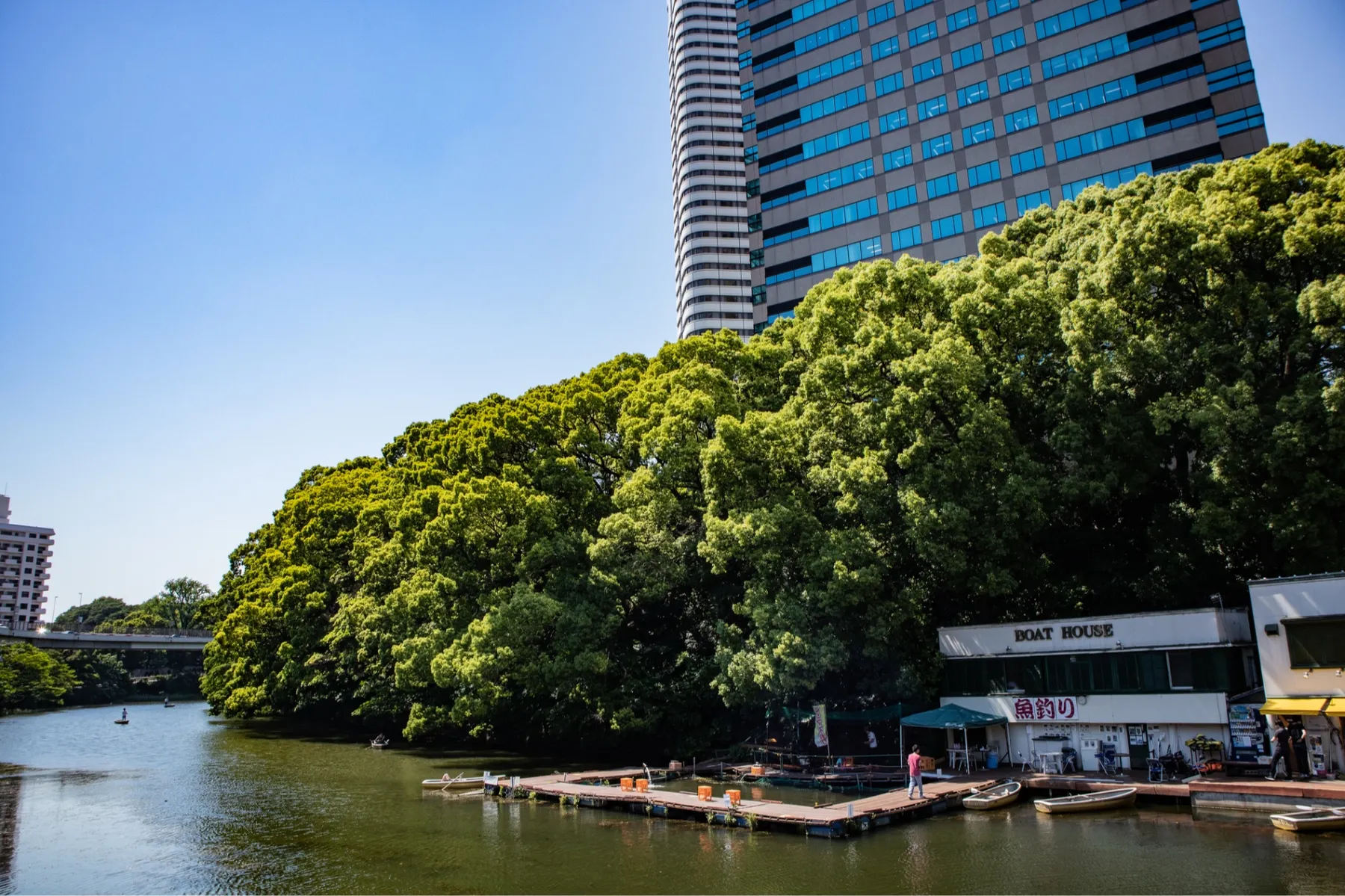 弁慶橋ボート場_2
