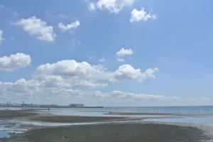 ふなばし三番瀬海浜公園