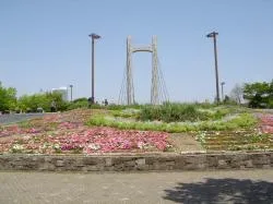 木場公園_1