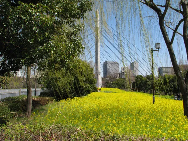 木場公園_3