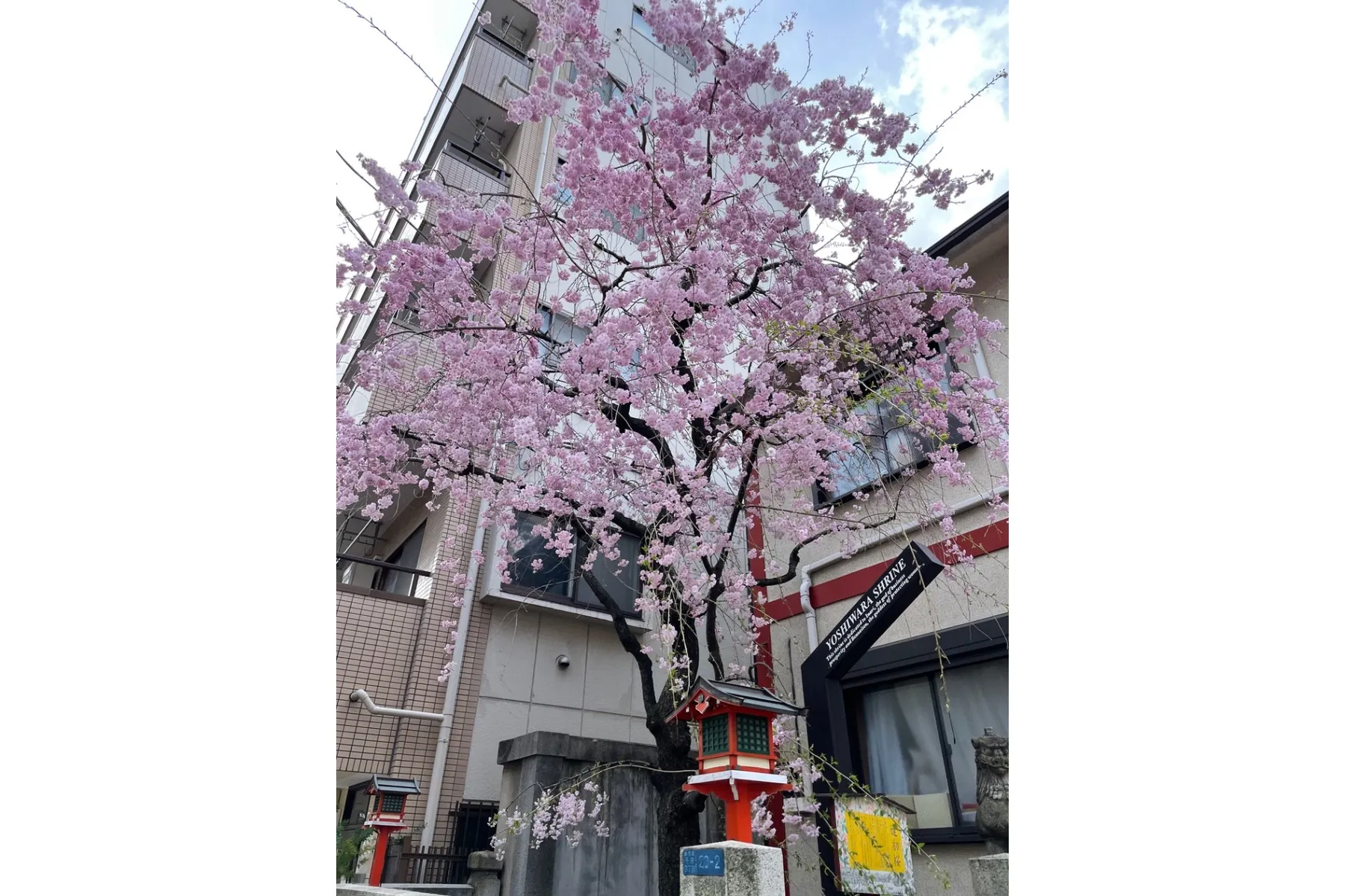 吉原神社・吉原弁財天_5