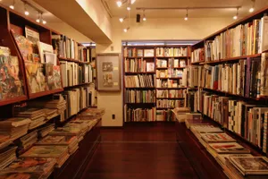 Flying Books