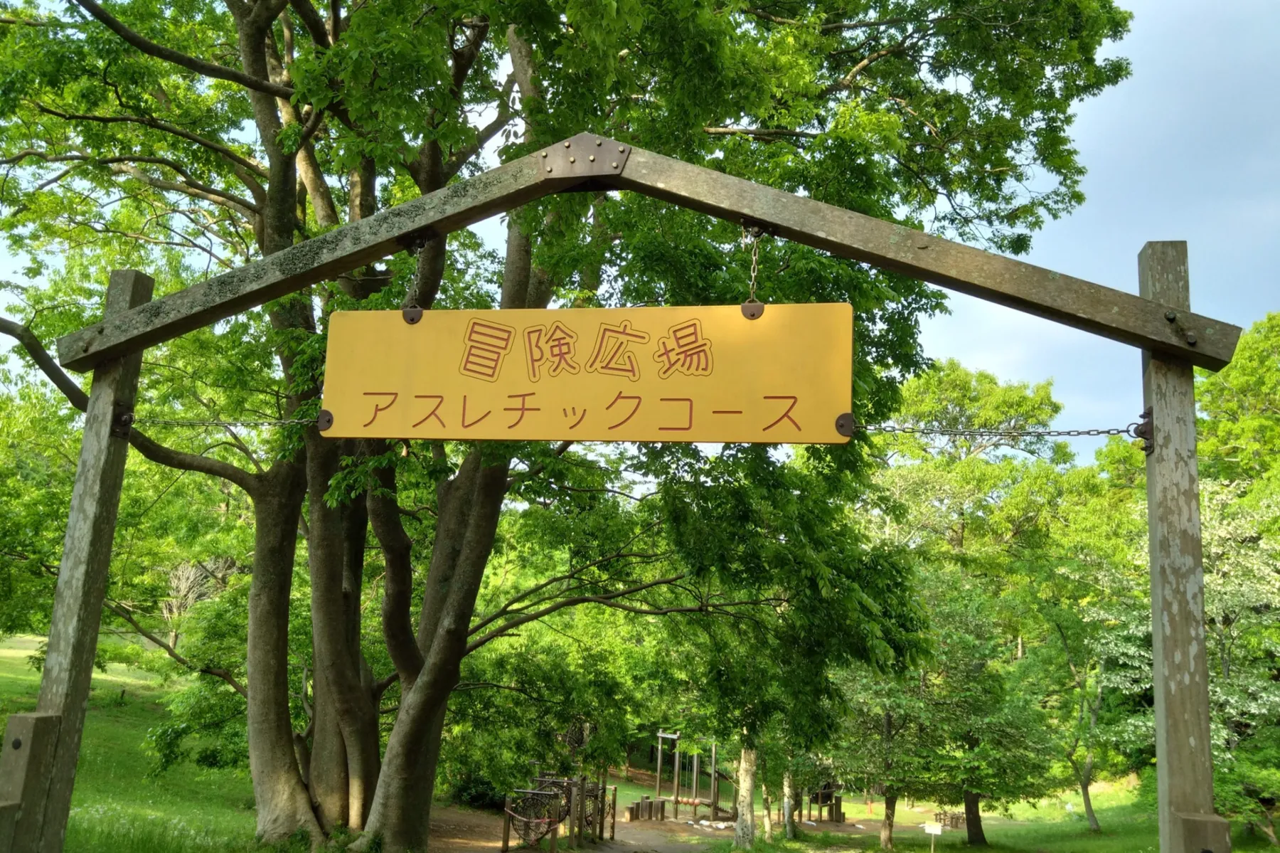 千葉市昭和の森_11
