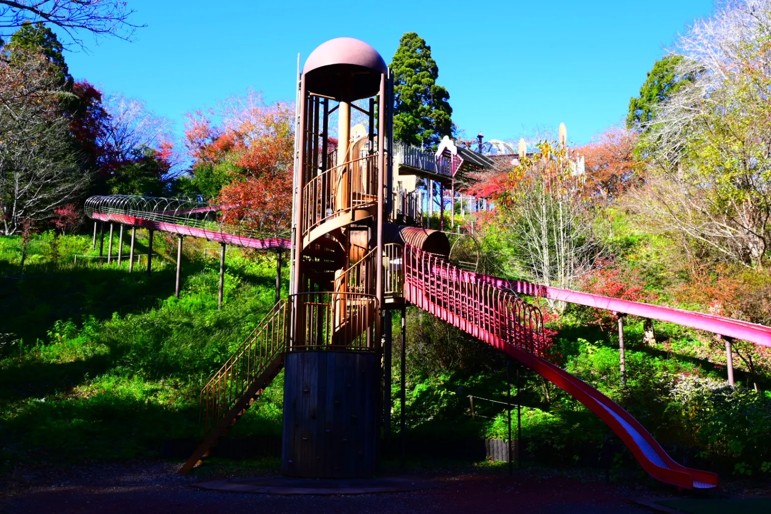 千葉市昭和の森_12