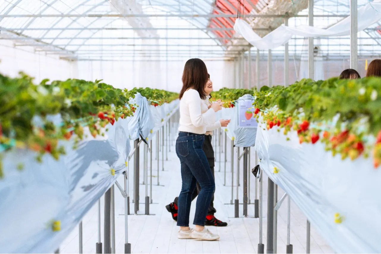 ABC FARM_5