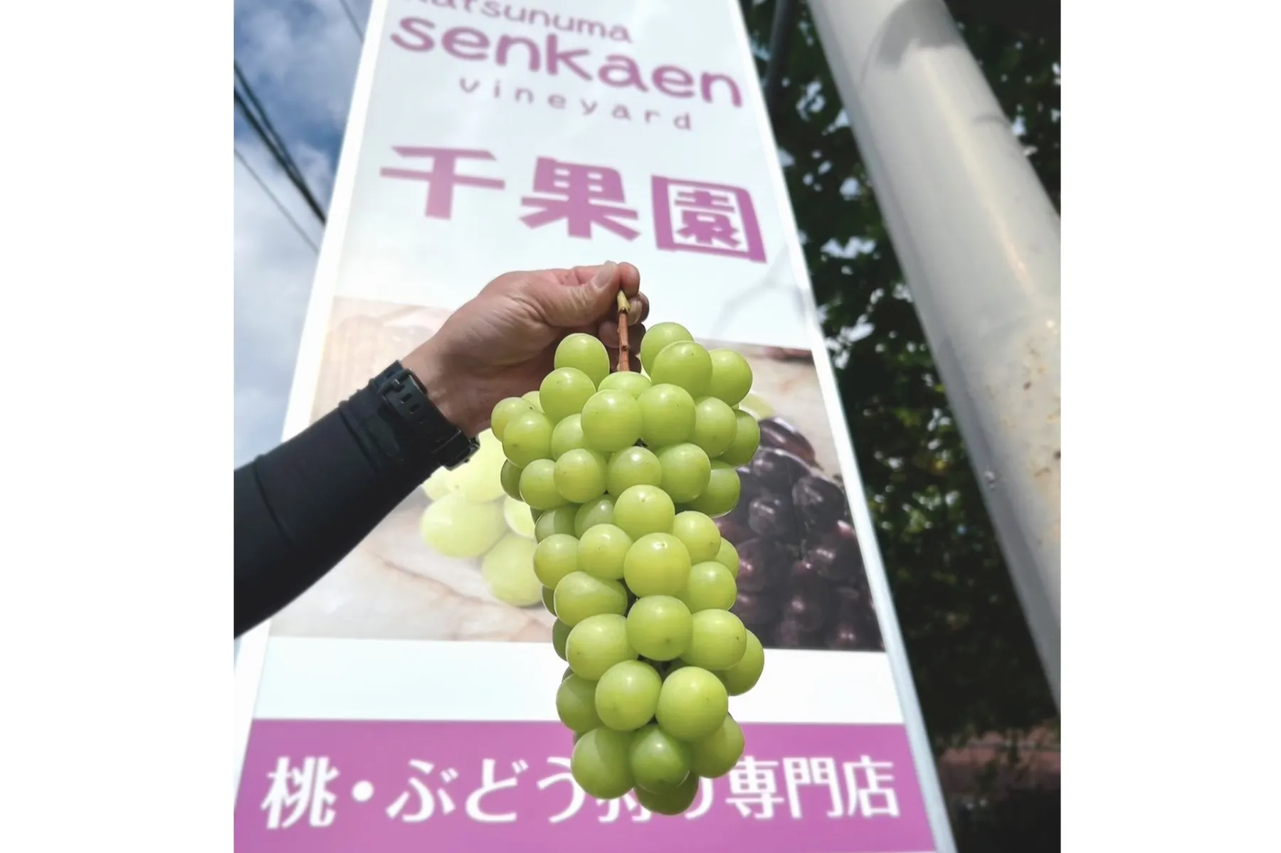 みはらしの千果園_2