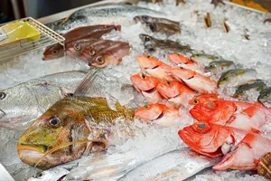 鮮魚直売 アカマル屋鮮魚店/大衆酒場 アカマル屋鮮魚店