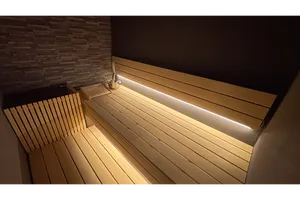 SAUNA RESET Pint