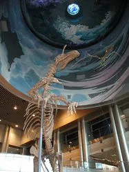 神奈川県立生命の星・地球博物館