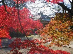 東漸寺
