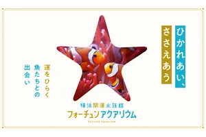 横浜開運水族館 フォーチュンアクアリウム