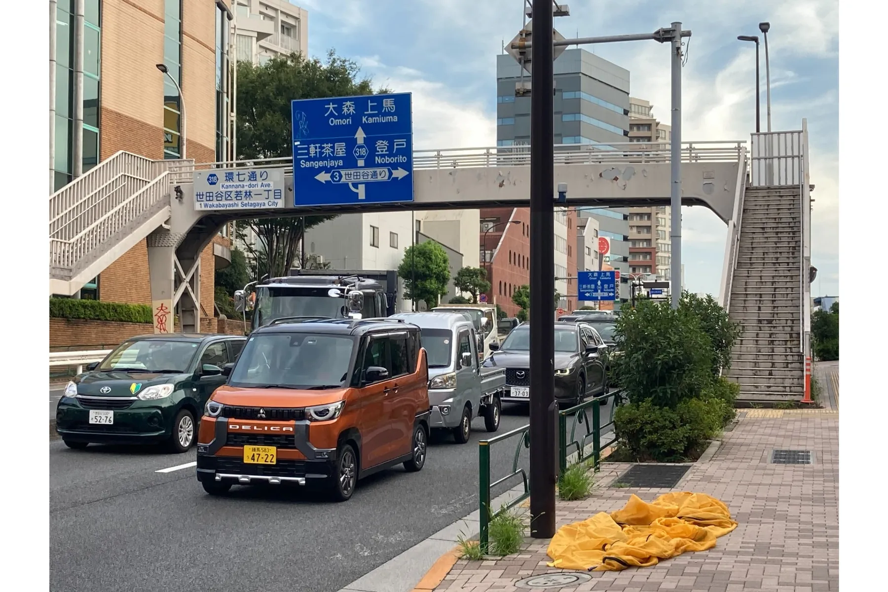 若林歩道橋_1