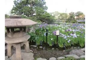堀切菖蒲園