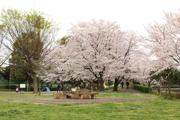 海老名運動公園_1