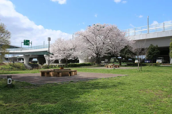 海老名運動公園_3
