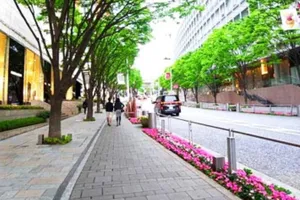 六本木けやき坂通り（六本木駅周辺）