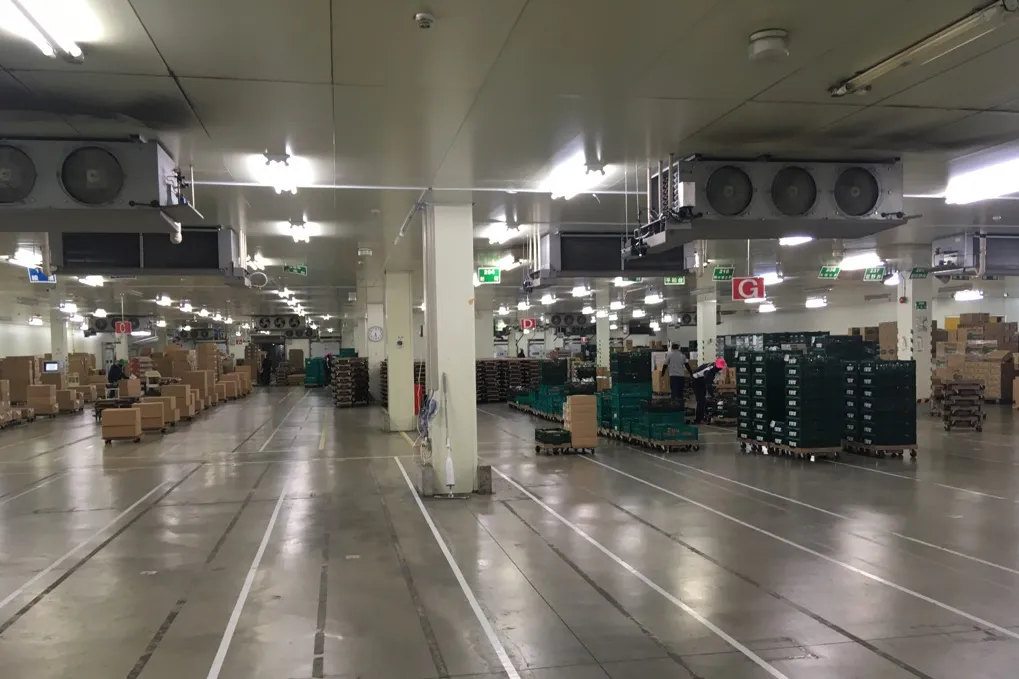 東京都中央卸売市場　葛西市場_5
