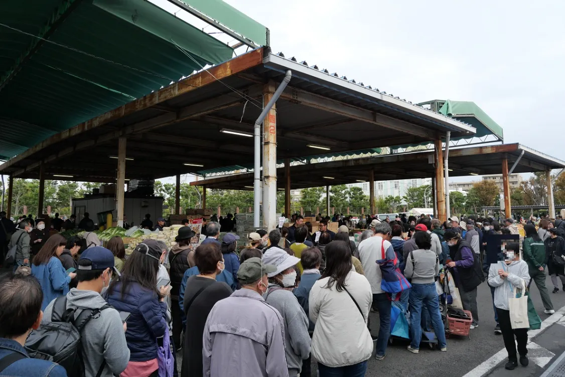 東京都中央卸売市場　葛西市場_8