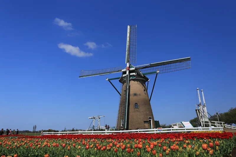 佐倉ふるさと広場_2