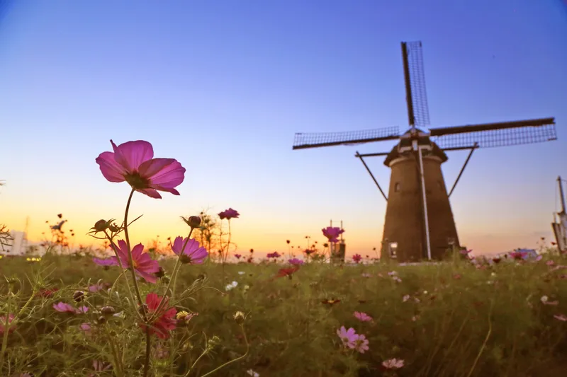 佐倉ふるさと広場_3