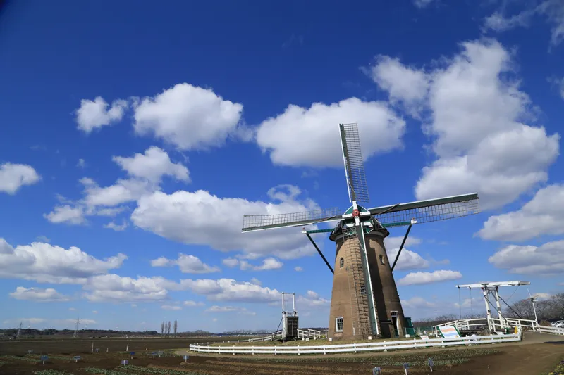 佐倉ふるさと広場_5