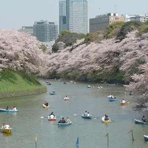 千鳥ヶ淵周辺(千鳥ヶ淵緑道)