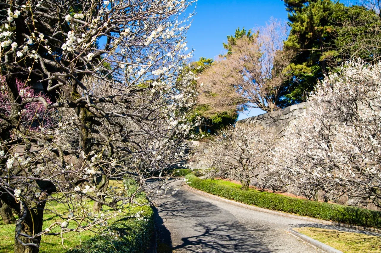 皇居東御苑_6