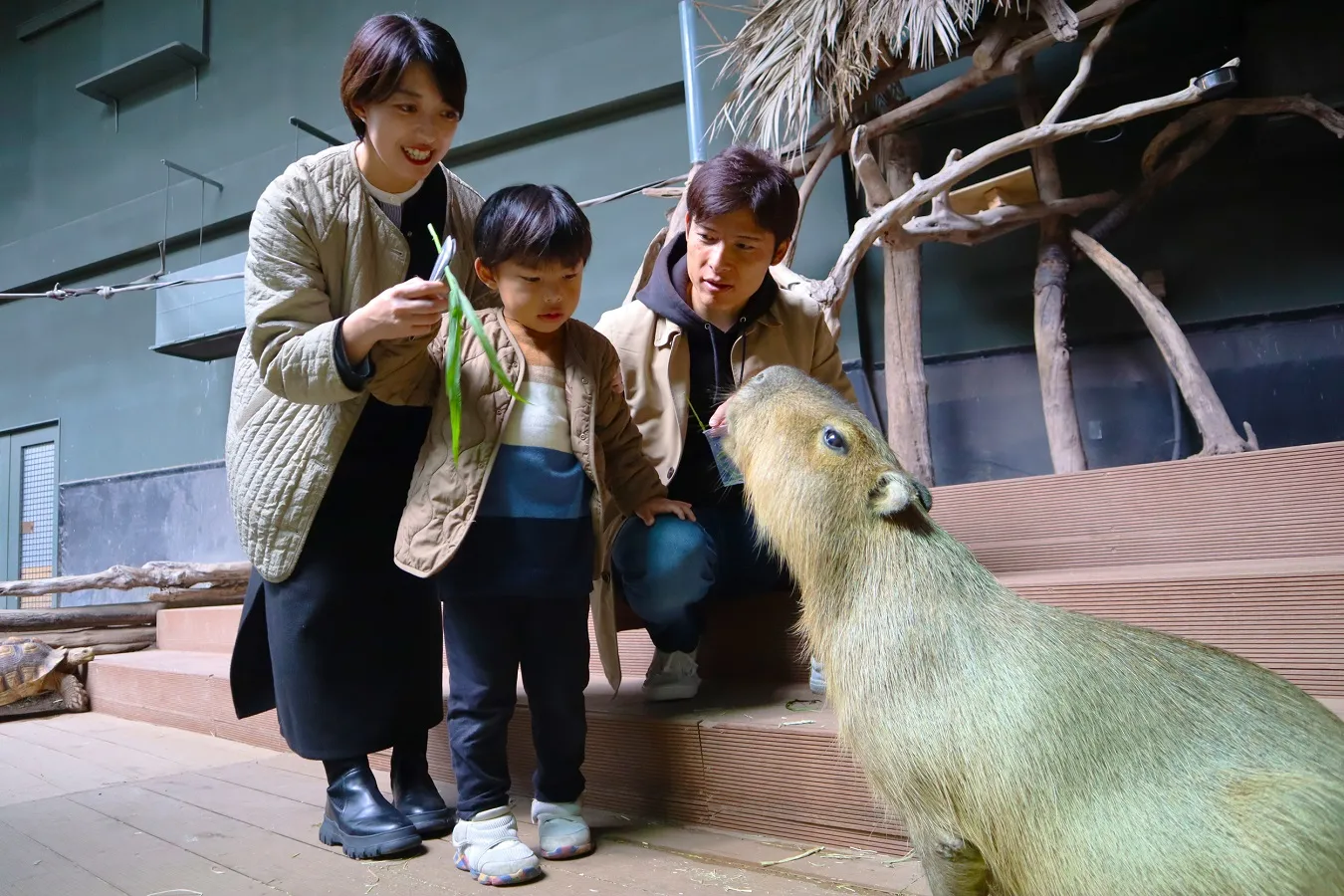 カワスイ 川崎水族館_7