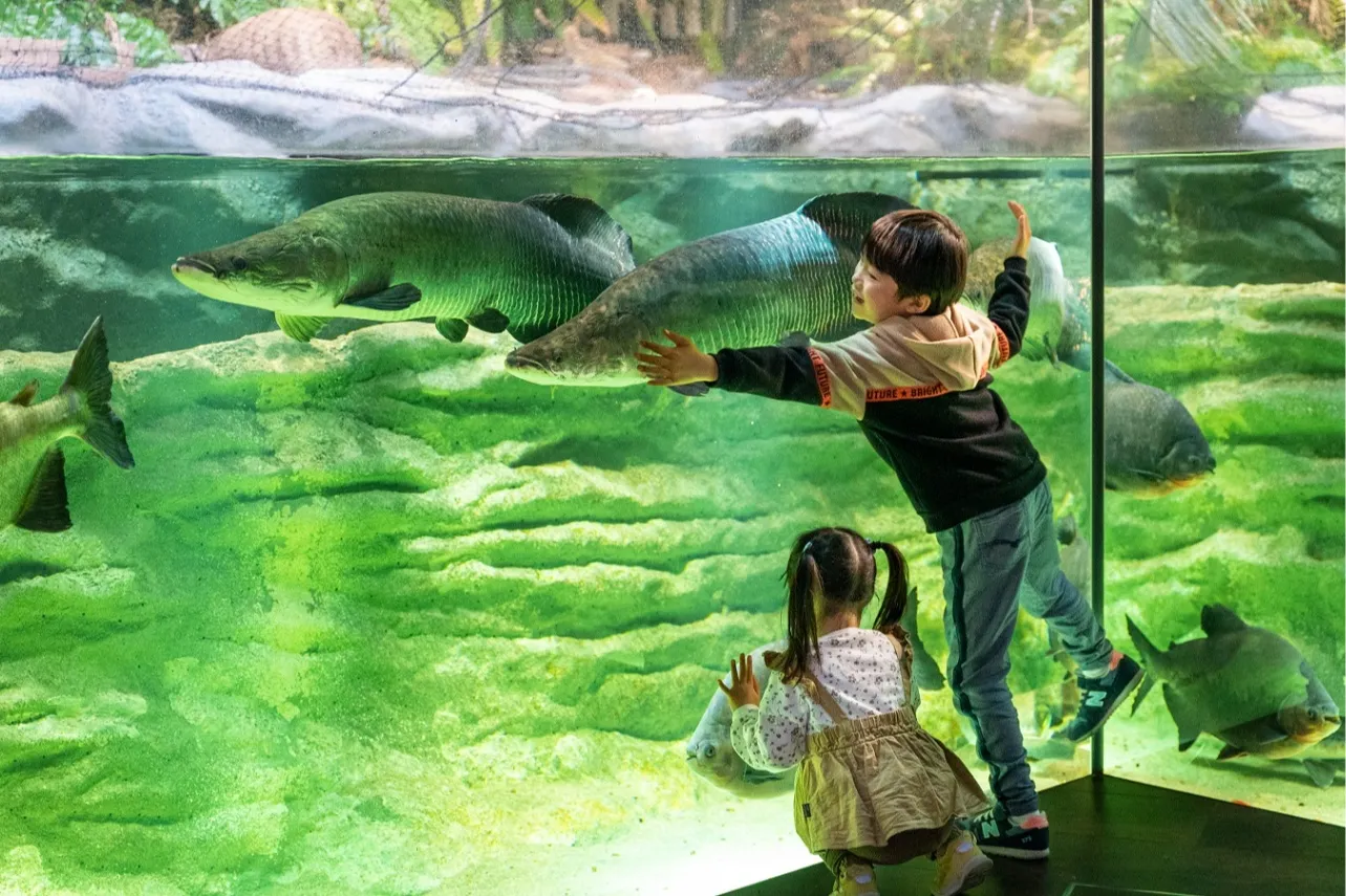 カワスイ 川崎水族館_1