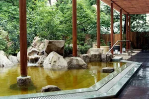 バーデと天然温泉 豊島園 庭の湯