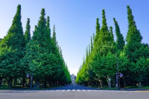 明治神宮外苑