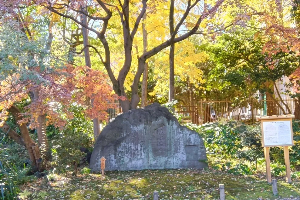 ▲清澄庭園内にある芭蕉の句碑と秋に紅葉するモミジ（画像提供：公益財団法人 東京都公園協会）